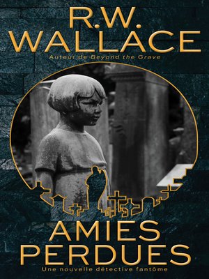 cover image of Amies Perdues